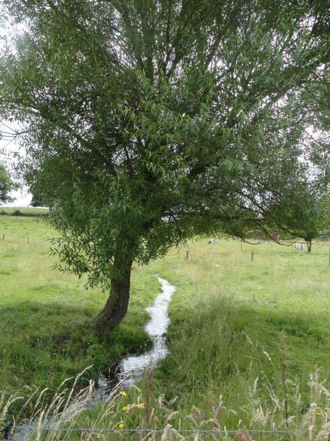 Le Heron Houffalize Luaran gambar